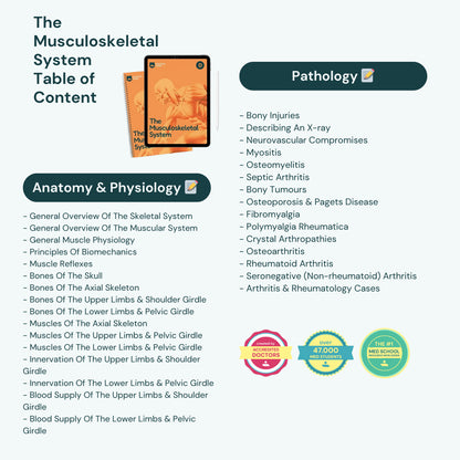 The Musculoskeletal System