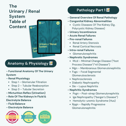 Urinary / Renal System