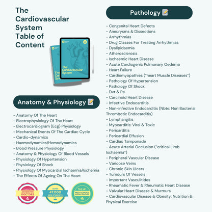 The Cardiovascular System