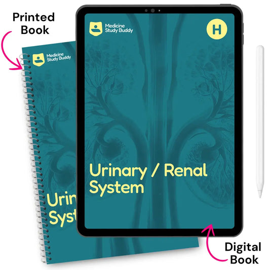 Urinary / Renal System